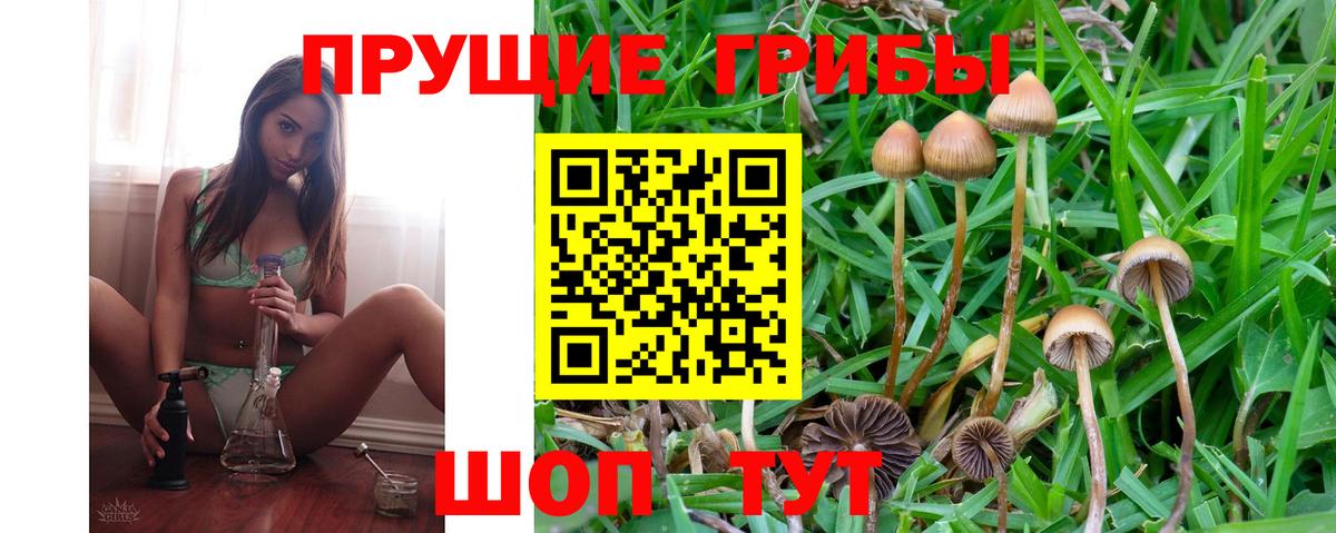 Аксай  Галлюциногенные грибы Psilocybe  Вход с VPN 